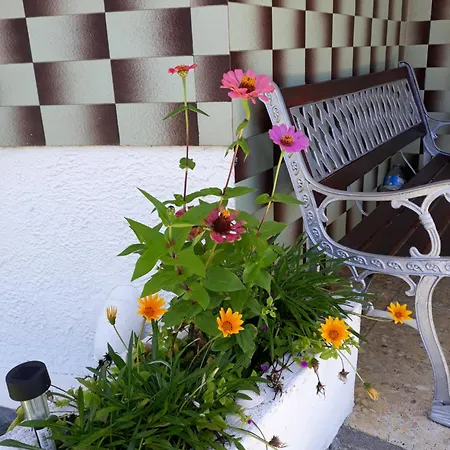 Residencia Playa Major * А-Лансада